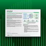 Cortex Cloud – Auf einen Blick