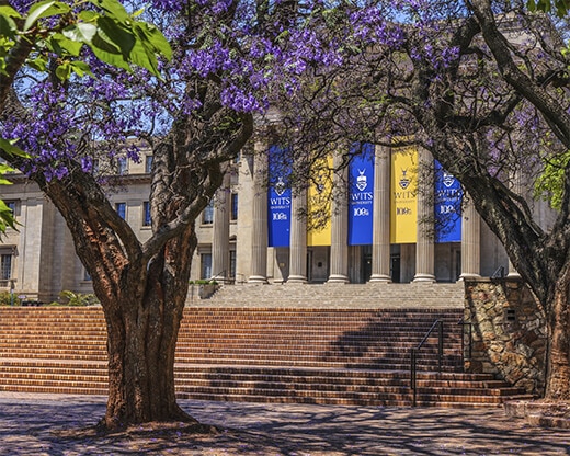 Wits University-Foto