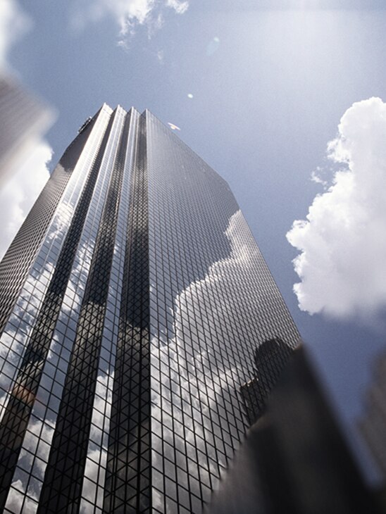 IHRE HERAUSFORDERUNGEN