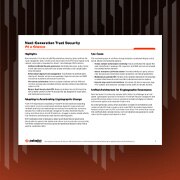 NGTS auf einen Blick