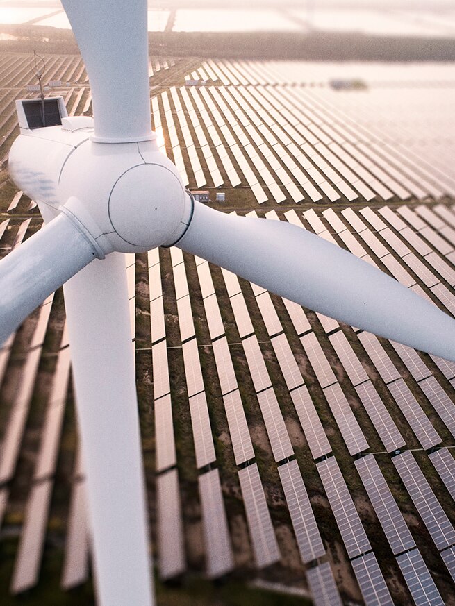 Über Palo Alto Networks